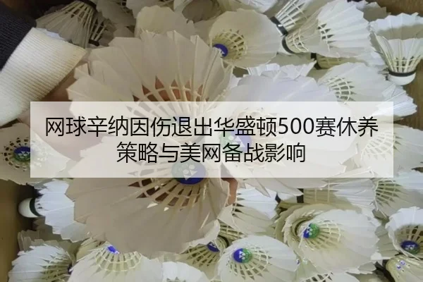 wang-qiu-xin-na-yin-shang-tui-chu-hua-sheng-dun-sai-xiu-yang-ce-lve-yu-mei-wang-bei-zhan-ying-xiang-3-598.jpg