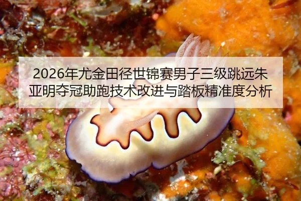 nian-you-jin-tian-jing-shi-jin-sai-nan-zi-san-ji-tiao-yuan-zhu-ya-ming-duo-guan-zhu-pao-ji-shu-gai-jin-yu-ta-ban-jing-2-312.jpg